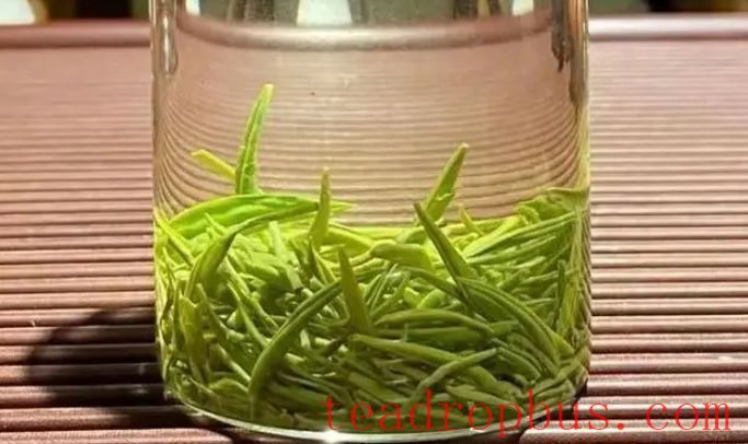 Duyun Maojian: A Gem of Guizhou, Savoring the Aroma of Tea Amidst Mountains and Waters-4