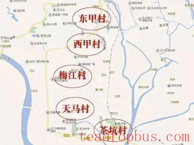 How to Distinguish the Authenticity and Quality of Xinhui Citrus Peel?-1