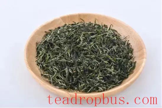 Guzhang Maojian—The Enduring Tea Melody of Ancient Yang River-2