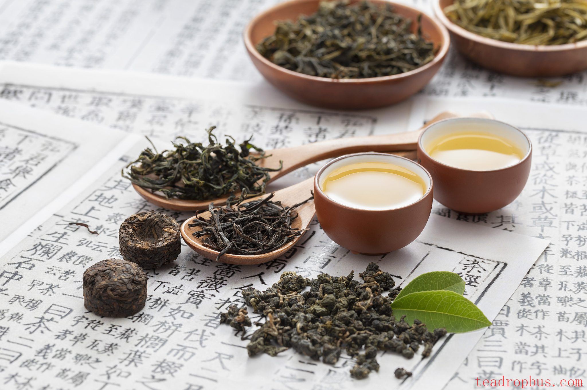 What Are the Benefits for Women Drinking White Tea Long-Term?-1