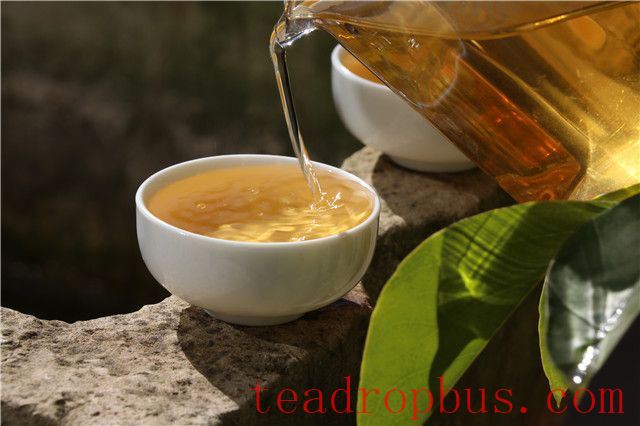 Are There Any Side Effects of Drinking Pu'er Tea?-2