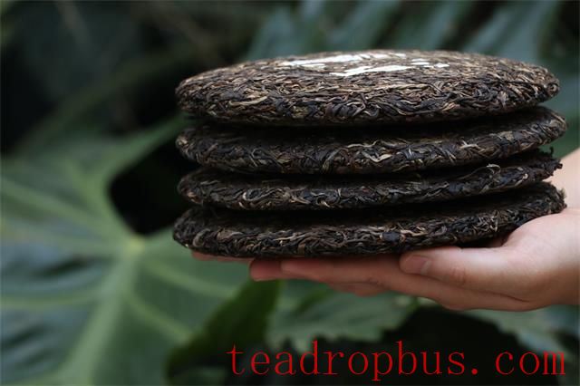 Methods for Identifying Raw and Ripe Pu'er Tea-1
