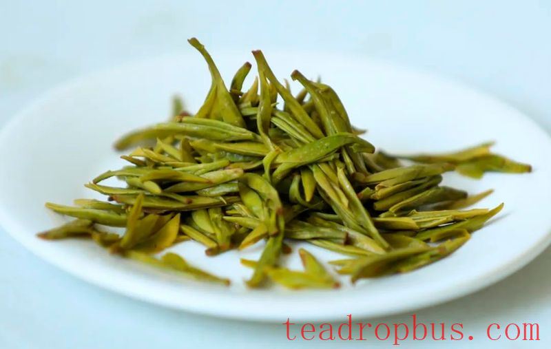 Spring Tea Season Special: The Right Way to Select Green Tea, Are You Doing It Correctly?-8