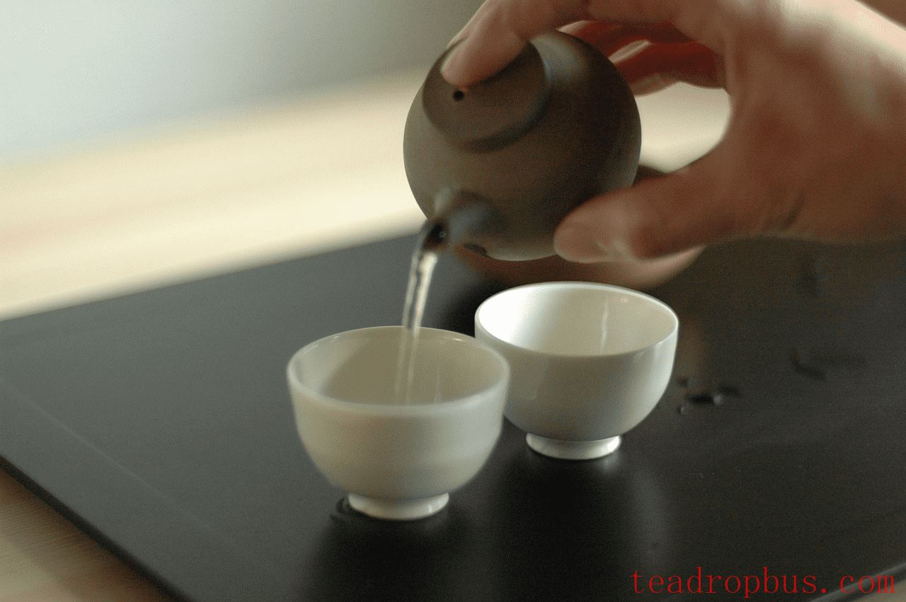 Where is the Most Renowned Origin of White Tea? Exploring the Best Places for White Tea-2