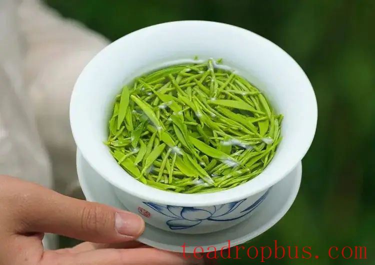 What Components Are Rich in Tea Leaves?-3