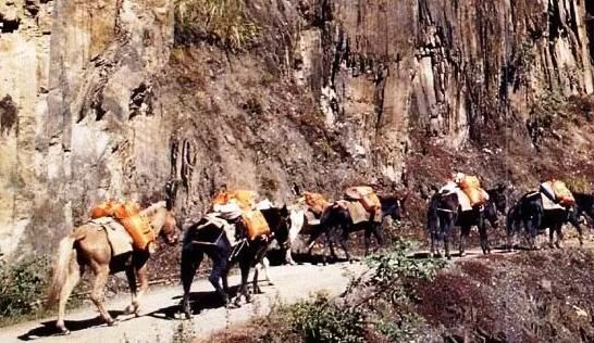 The Tea Horse Road: The Soul of Pu'er Tea Culture-2-ChinaTeaGuru: Exploring Chinese Tea Culture and Kung Fu Tea - Tea Art, Tea Ceremony, Tea Knowledge The Tea Horse Road: The Soul of Pu'er Tea Culture-2