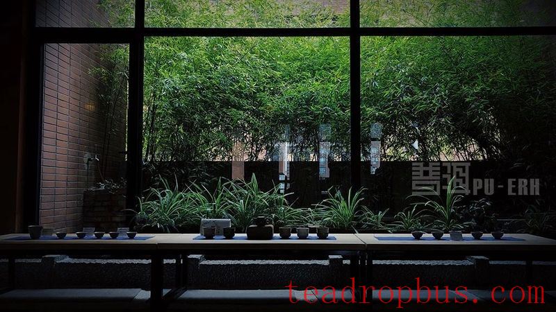 Reject These Five Types of Ripened Pu'er Tea!-5