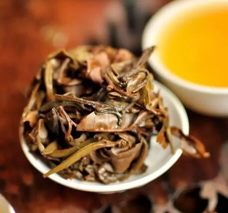 There's a type of tea that rivals antibiotics and cold remedies, and it can even help with hangovers!-5-ChinaTeaGuru: Exploring Chinese Tea Culture and Kung Fu Tea - Tea Art, Tea Ceremony, Tea Knowledge There's a type of tea that rivals antibiotics and cold remedies, and it can even help with hangovers!-5