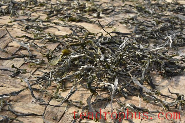 Features of the Baihuatan Pu'er Tea-2