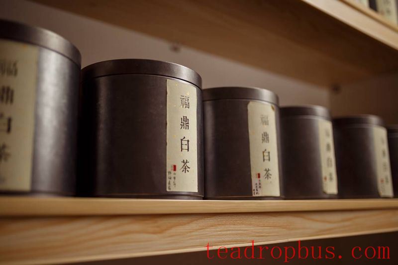 Summer Tea Storage: Master the 