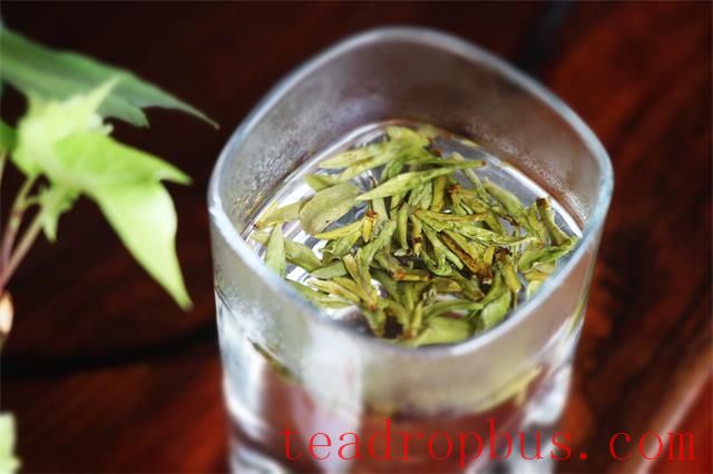 What are the benefits of drinking green tea regularly, and does it affect sleep?-2