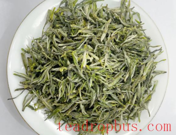 What is the difference between new tea and aged tea?-2