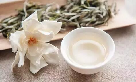 White Tea at its Best Beats Cordyceps Sinensis!-2-ChinaTeaGuru: Exploring Chinese Tea Culture and Kung Fu Tea - Tea Art, Tea Ceremony, Tea Knowledge White Tea at its Best Beats Cordyceps Sinensis!-2