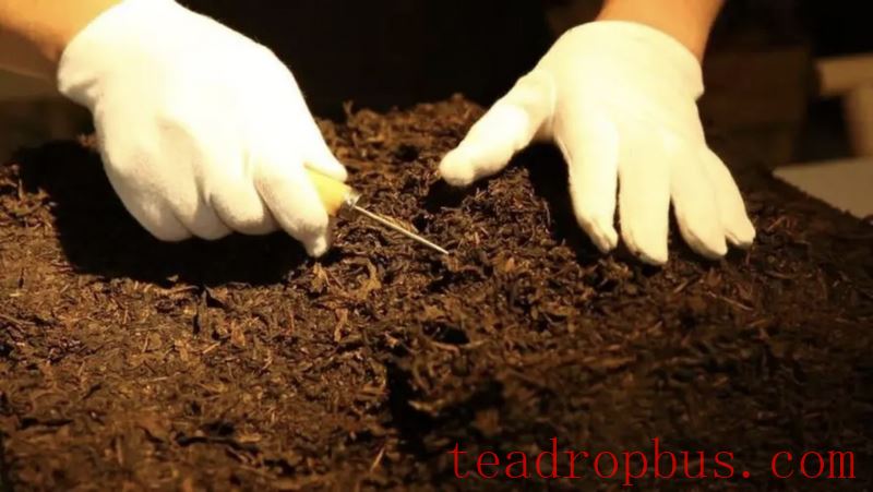 Dark Tea Storage: Factors Affecting Quality and Storage Models-3