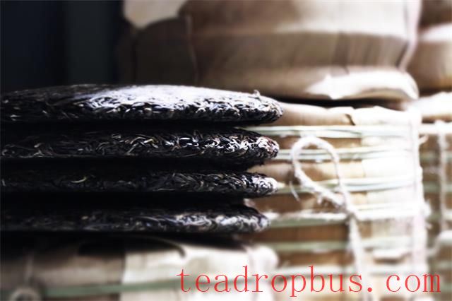 Tea Storage: Changes to Look Out For-2