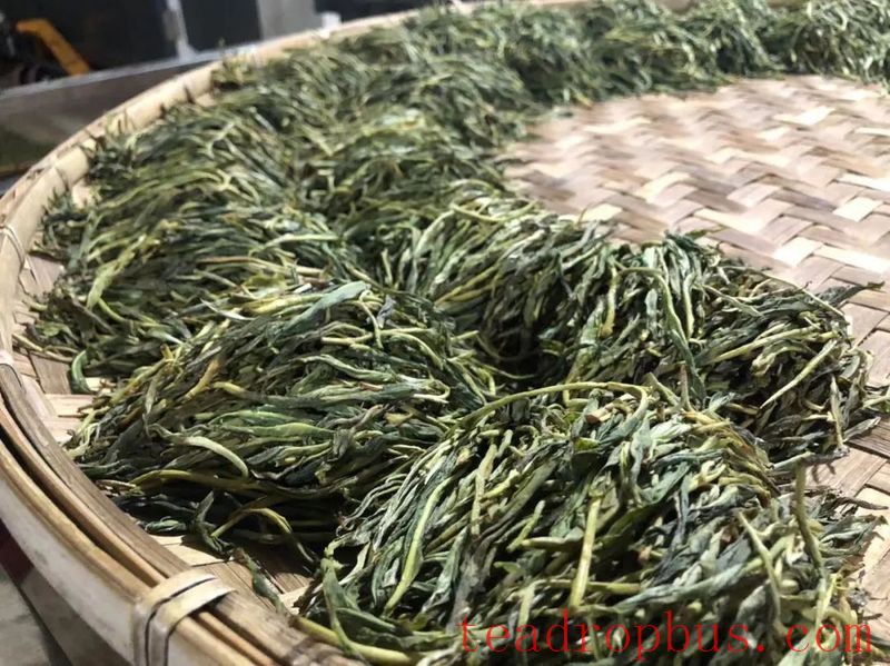 Puerh Raw Tea or Ripe Tea: How to Choose?-2