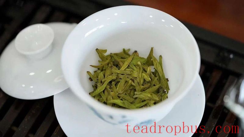 The Wrong Way to Store Green Tea: Trouble is Brewing-4