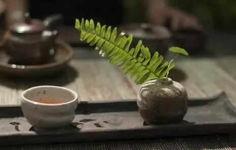 Does Tea Scale Add Aroma to Your Tea? Better Clean It Up After Reading This!-2-ChinaTeaGuru: Exploring Chinese Tea Culture and Kung Fu Tea - Tea Art, Tea Ceremony, Tea Knowledge Does Tea Scale Add Aroma to Your Tea? Better Clean It Up After Reading This!-2