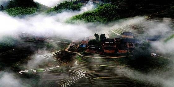 What is Tanyang Gongfu Tea?-1