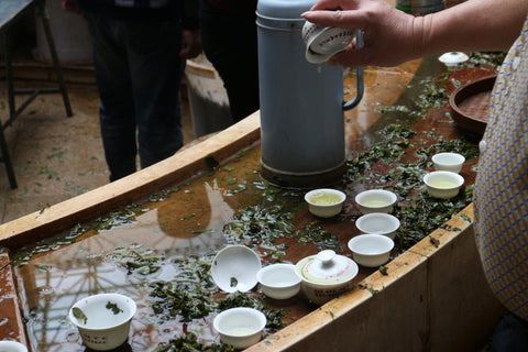 Tieguanyin oolong tea tasting