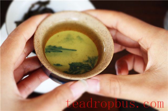 The Functions and Benefits of Tea Polyphenols-2