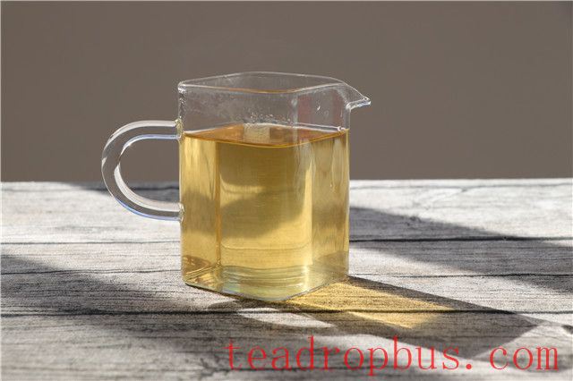 Characteristics of Spring Tea from Ancient Trees: Do You Know?-3