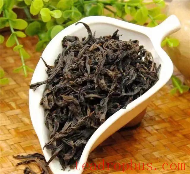 Why is the genuine cassia aroma of Cinnamon (Rougui) becoming increasingly rare?-5