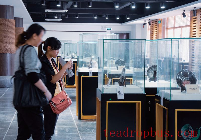 How to Select High-Quality Middle-Aged Pu'er Tea?-3