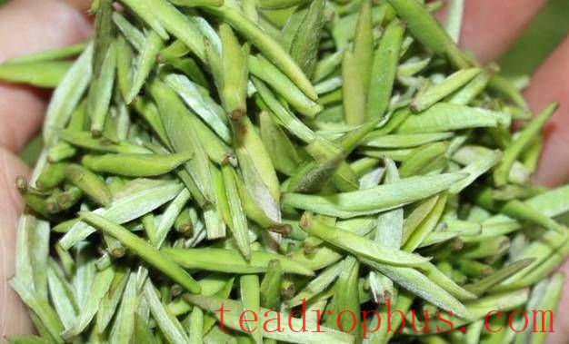 Introduction to Yellow Tea Varieties-8