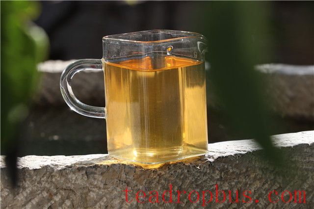 Health in Every Sip: A Cup of Pu'er Tea a Day Brings Numerous Benefits-3
