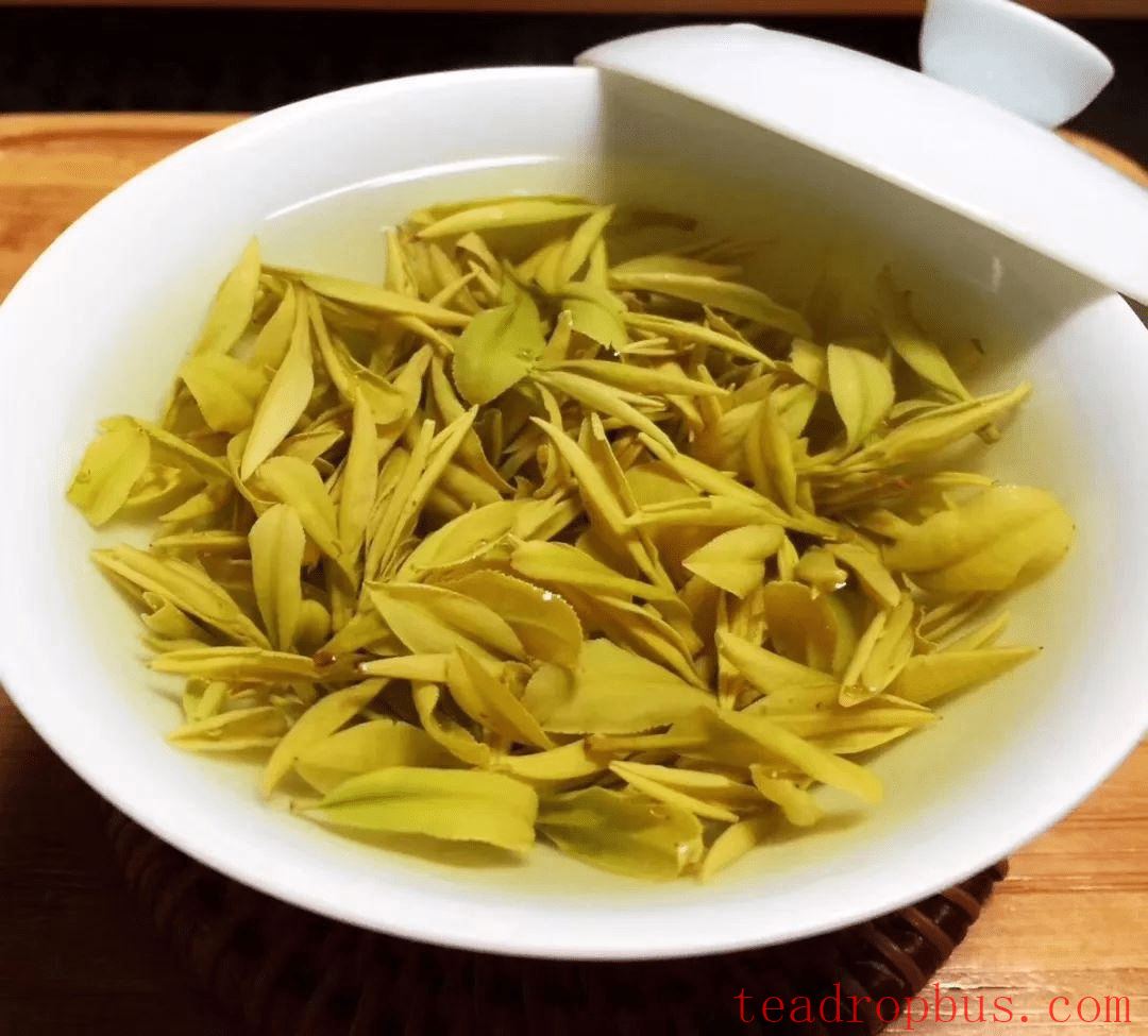 What Type of Tea is Golden Bud? A Rare Panda in the World of Green Teas.-2