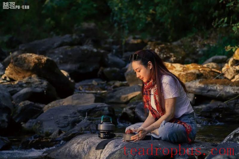 Four Principles Not to Buy and Three Selection Criteria for Aged Pu'er Tea-1