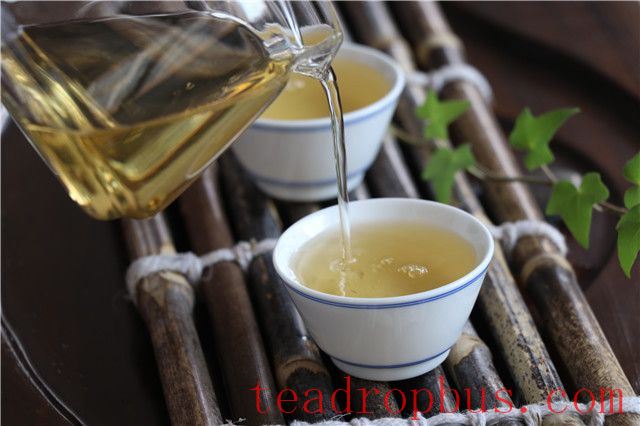 Features of Pasah Ancient Tree Tea-3