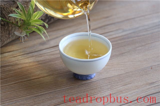 Puer Raw Tea vs. Puer Ripe Tea: Which Is Better?-4