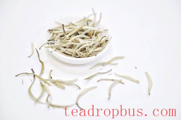 Complete Guide to White Tea-1