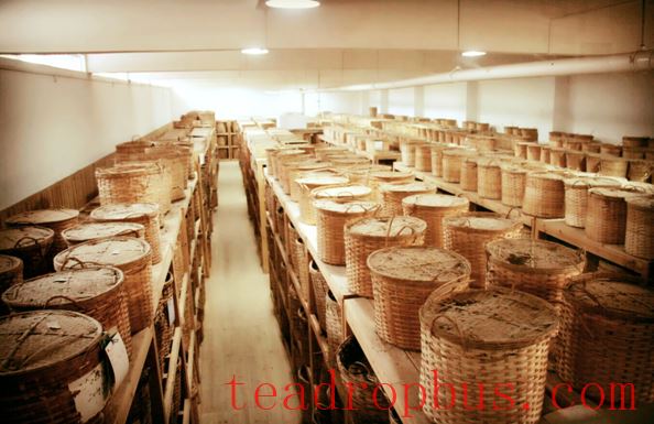 Dark Tea Storage: Factors Affecting Quality and Storage Models-2