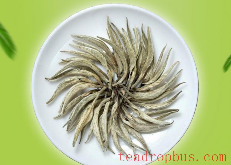 Price of Yunnan Jinggu Large White Tip in Dollars-5