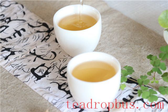 Which is Better: Raw or Ripe Pu'er Tea? How to Choose?-3