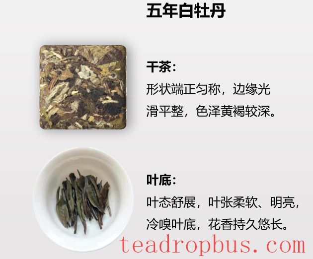 Is Loose White Tea Better Than Compressed, or Have You Made the Right Choice?-6