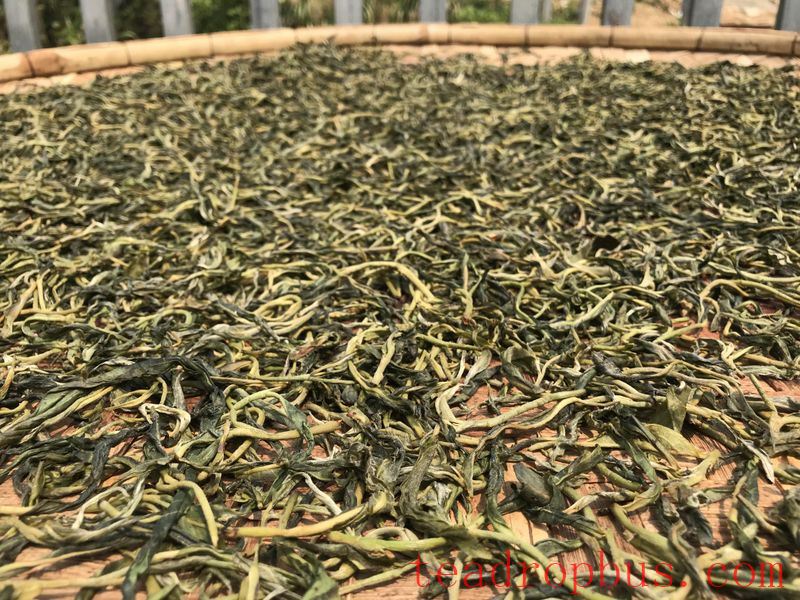 Puer Spring Tea Market Release-1