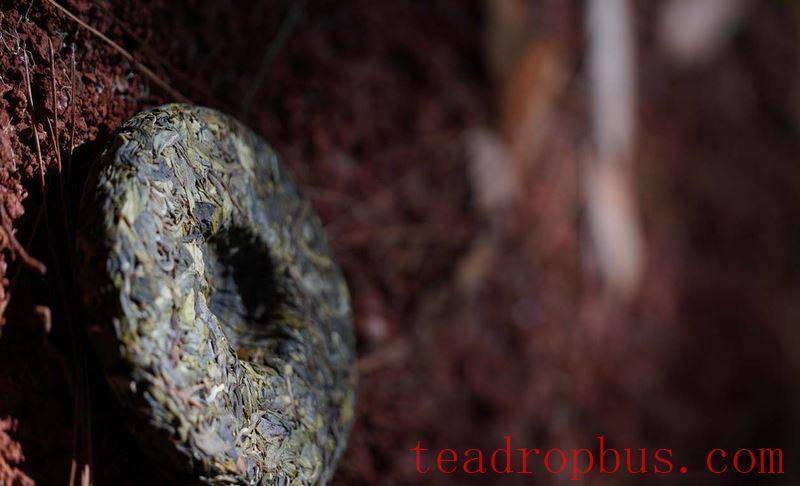 Are abundant tea down hairs good or bad?-3