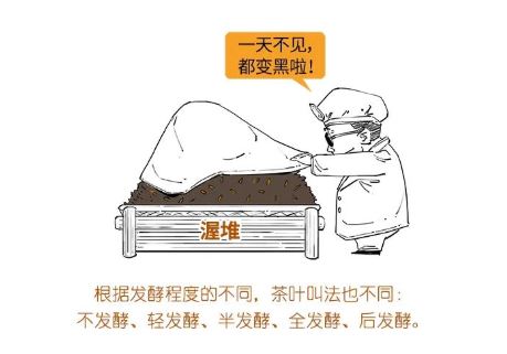 How Can You Buy Tea Without Understanding It? A Beginner's Guide to Identifying Tea-21