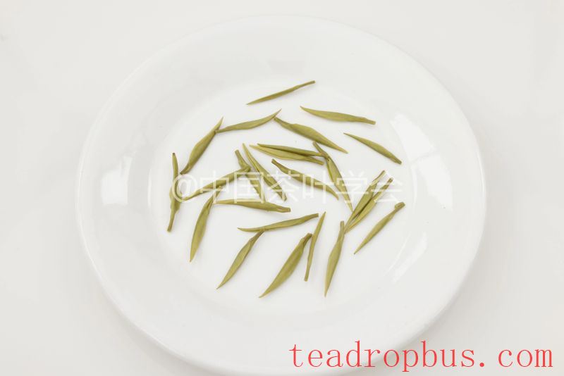 Weekly Tea Knowledge: I Know the Fresh Taste! Let's Talk About the Whitening and Yellowing of Tea Leaves ①-13