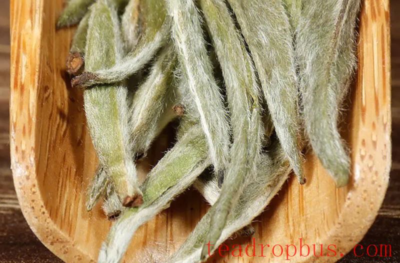 Price of Yunnan Jinggu Large White Tip in Dollars-1
