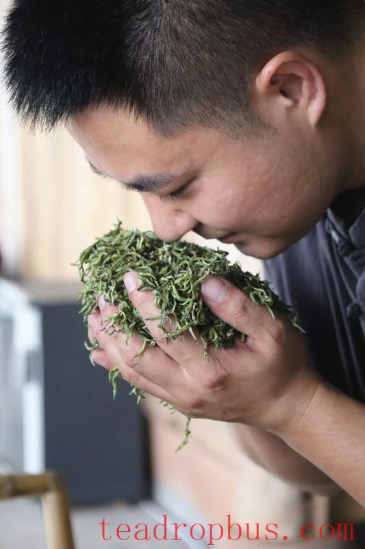Mengding Ganlu: A Thousand-Year Journey of a Single Tea Leaf-6