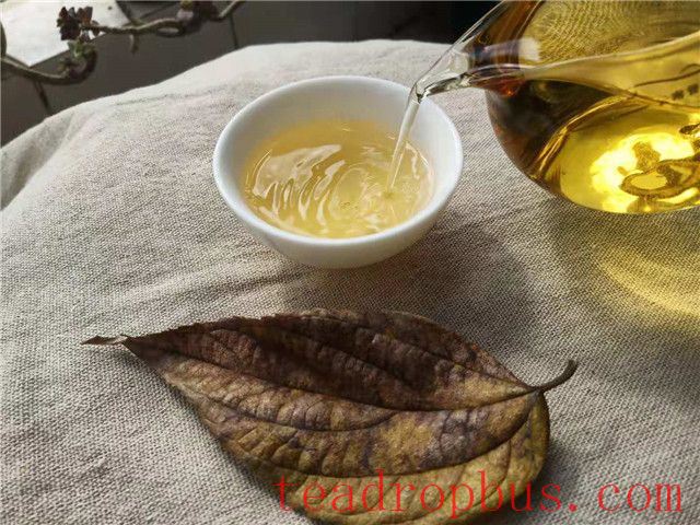 Want to Drink White Tea But Not Sure How to Choose? How to Select the Right White Tea for You-1
