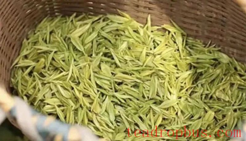 What is Mogan Yellow Bud Tea?-1