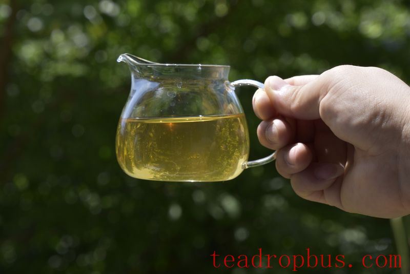The Benefits and Effects of Pu'er Spring Tea-2