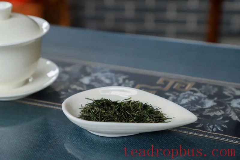 Tea Trivia (Part 2): How to Select Green Tea-1