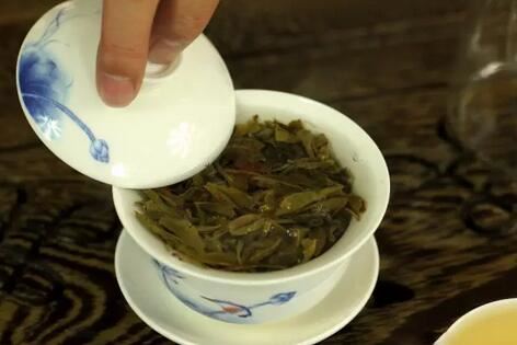 Aging Pu'er Shengcha: What Are the Benefits?-4-ChinaTeaGuru: Exploring Chinese Tea Culture and Kung Fu Tea - Tea Art, Tea Ceremony, Tea Knowledge Aging Pu'er Shengcha: What Are the Benefits?-4
